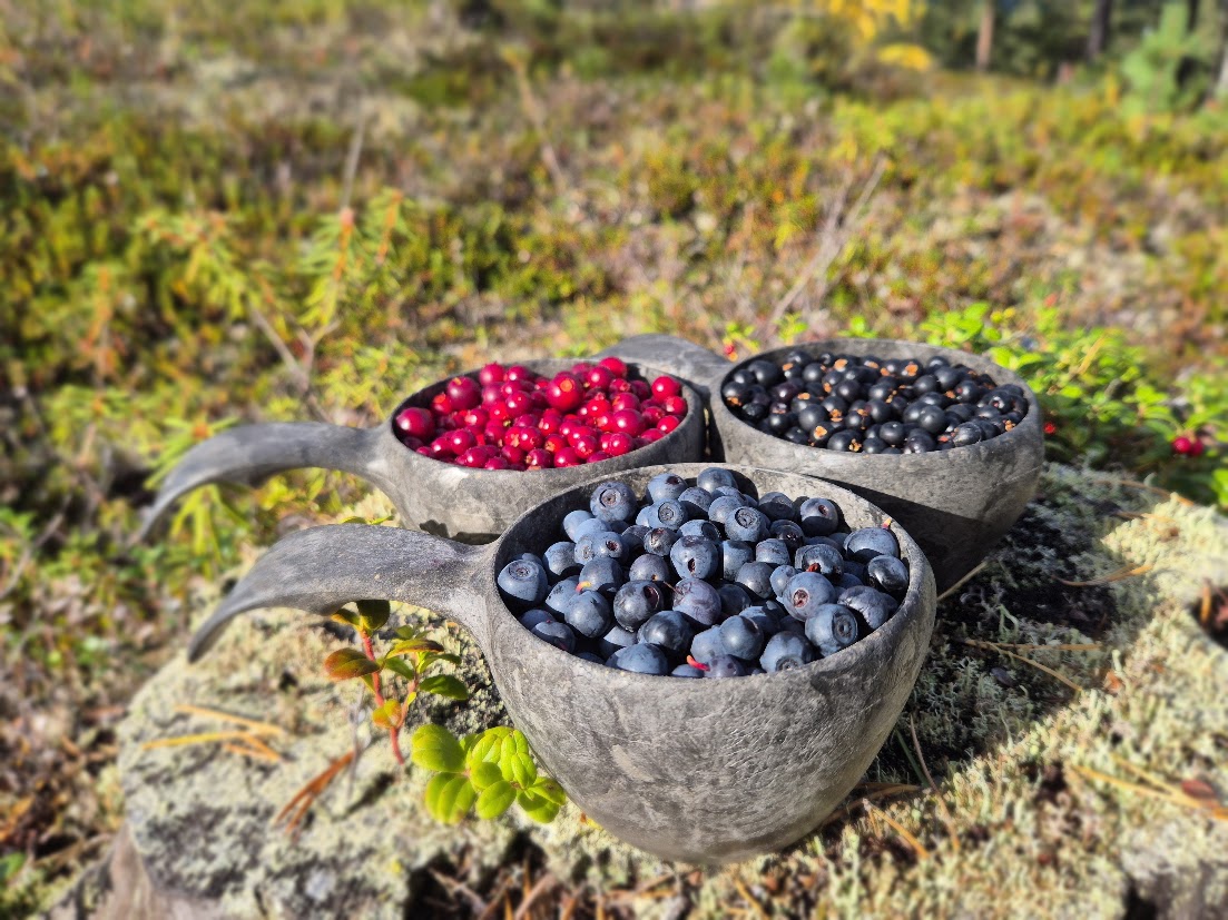 Treasures from the nature